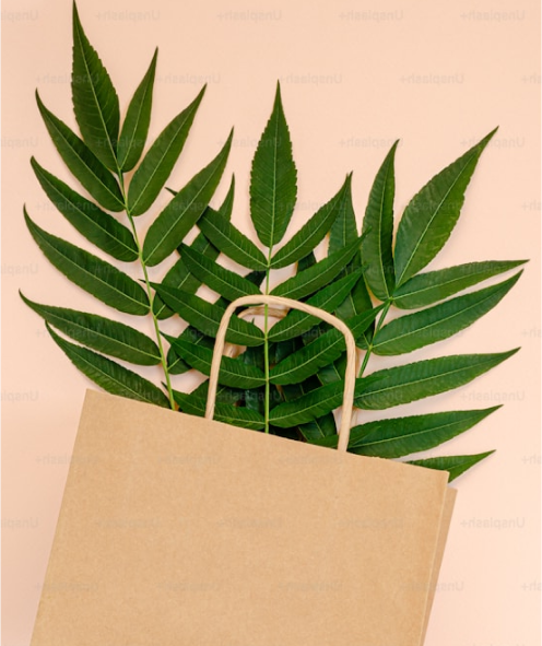 Paper bag with green leaves